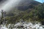 Capim congelado na parte alta do Parque Nacional de Chirripó, na Costa Rica