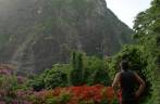 Chegando perto da Petit Piton, em Soufriere, no sul de Santa Lúcia Chegando perto da Petit Piton, em Soufriere, no sul de Santa Lúcia