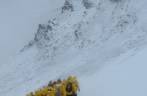 Com tanta neve, as pessoas formam grupos compactos no caminho para Stromness, na Geórgia do Sul Com tanta neve, as pessoas formam grupos compactos no caminho para Stromness, na Geórgia do Sul