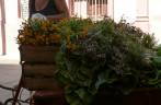 Comprando ervas e verduras em Santiago de Cuba, no leste do país.
