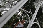 Dentro do Palácio de Cristal, no Jardim Botânico, em Curitiba - PR Dentro do Palácio de Cristal, no Jardim Botânico, em Curitiba - PR