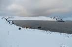 Desembarcando na gelada e pequena ilha de Half Moon Island, na Antártida