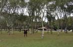 Entre as árvores do Parque Barigui, em Curitiba - PR Entre as árvores do Parque Barigui, em Curitiba - PR