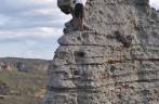 Escalando formação rochosa no Parque Nacional da Serra do Catimbau, em Buique - PE