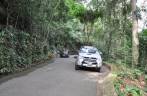 Fiona atravessando a Floresta da Tijuca pela Estrada das Paineras, no Rio de Janeiro - RJ
