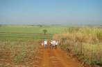 Grupo caminhando na na fazenda em Ribeirão Preto - SP