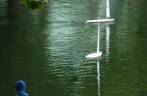 Lago no Central Park conhecido por seus 'veleiros de brinquedo', em Nova Iorque - Estados Unidos Lago no Central Park conhecido por seus 'veleiros de brinquedo', em Nova Iorque - Estados Unidos