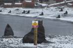 Lobo-marinho não parece se importar com a placa na antiga estação baleeira de Stromness, na Geórgia do Sul Lobo-marinho não parece se importar com a placa na antiga estação baleeira de Stromness, na Geórgia do Sul