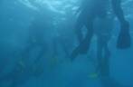 Mergulhadores prontos para submergir, em Abrolhos - BA