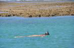 Mergulhando na piscina natural na Quarta Praia, em Morro de São Paulo - BA