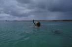 Mergulhando nas piscinas naturais da Praia de Taipus de Fora, em Barra Grande, Península do Maraú - BA