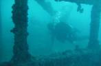 Mergulho no naufrágio Rosalina, em Abrolhos - BA