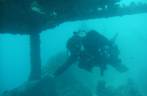 Mergulho no naufrágio Rosalina, em Abrolhos - BA