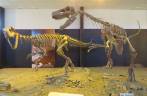 Museu paleontológico do Parque Provincial Ischigualasto, na Argentina