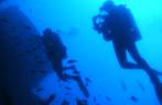 Nadando em volta da Corveta em Fernando de Noronha - PE Nadando em volta da Corveta em Fernando de Noronha - PE