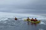 Nosso grupo rema no gelo de Kinnes Cove, na Antártida