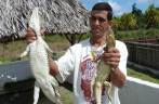 Nosso guia segura jacarés na Isla de la Juventud, em Cuba