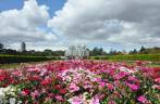 O Palácio de Cristal, no Jardim Botânico, em Curitiba - PR O Palácio de Cristal, no Jardim Botânico, em Curitiba - PR