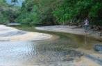 O rio da Praia Preta, na Ilha Grande - RJ
