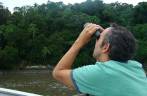 Observando papagaios na Ilha da Pinheira Observando papagaios na Ilha da Pinheira