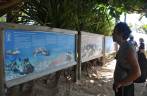Painéis informativos no Projeto Tamar, na Praia do Forte - BA