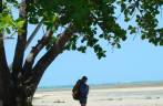 Pausa para descanso na sombra, na caminhada entre Moreré e a praia da Barra, na Ilha de Boipeba - BA