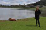 Pertinho da capivara preguiçosa, no Parque Barigui, em Curitiba - PR Pertinho da capivara preguiçosa, no Parque Barigui, em Curitiba - PR