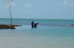 Pesca na maré baixa, em Moreré, na Ilha de Boipeba - BA
