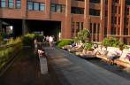 Pessoas relaxam e tomam sol na High Line em Nova Iorque - Estados Unidos Pessoas relaxam e tomam sol na High Line em Nova Iorque - Estados Unidos