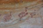 Pinturas rupestres de emas, na Serra da Capivara, próximo à São Raimundo Nonato - PI
