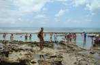Piscina nos corais bem concorrida, na Praia de Carneiros, em Tamandaré - PE Piscina nos corais bem concorrida, na Praia de Carneiros, em Tamandaré - PE