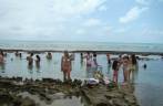 Piscina nos corais bem concorrida, na Praia de Carneiros, em Tamandaré - PE Piscina nos corais bem concorrida, na Praia de Carneiros, em Tamandaré - PE