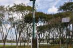 Poste de iluminação que funciona com energia solar, no Parque Barigui, em Curitiba - PR Poste de iluminação que funciona com energia solar, no Parque Barigui, em Curitiba - PR