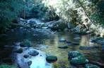 Poço no Rio Areado na Trilha do Bonete em Ilha Bela - SP
