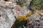 Poço no rio da Cachoeira Solitária na região do Paraíso Selvagem em Delfinópolis - MG