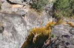 Poço no rio da Cachoeira Solitária na região do Paraíso Selvagem em Delfinópolis - MG