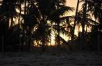 Pôr-do-sol entre coqueiros da praia de Bainema, próximo à Moreré, na Ilha de Boipeba - BA