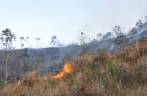 Queimada na Serra da Bocaina - RJ