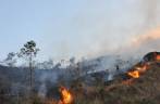 Queimada na Serra da Bocaina - RJ