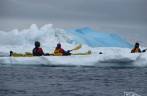 Remando rumo ao bloco de gelo azul em Kinnes Cove, na Antártida