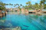 Resort Atlantis - Nassau