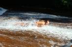 Se refrescando na cachoeira da Laje na volta do Bonete em Ilha Bela - SP
