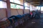 Selas na fazenda em Ribeirão Preto - SP