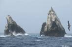 Shag Rocks,enormes rochedos lotados de pássaros entre Falkland e Geórgia do Sul Shag Rocks,enormes rochedos lotados de pássaros entre Falkland e Geórgia do Sul