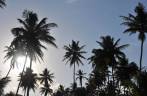 Sol entre coqueiros na praia de Bainema, próximo à Moreré, na Ilha de Boipeba - BA