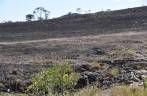 Terra queimada no alto da serra em Delfinópolis - MG