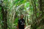Trilha em El Yunque - Porto Rico