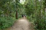 Trilha para a Cascata del Nicho, próxima à Cienfuegos, em Cuba Trilha para a Cascata del Nicho, próxima à Cienfuegos, em Cuba