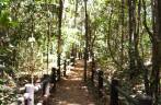 Trilha sombreada, no Parque Nacional de Brasília, também conhecido como Água Mineral Trilha sombreada, no Parque Nacional de Brasília, também conhecido como Água Mineral