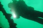Usando a lanterna no mergulho no naufrágio Victory 8B, em Guarapari - ES Usando a lanterna no mergulho no naufrágio Victory 8B, em Guarapari - ES